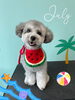 「お友達♡ Dog salon mofu mofu 余市町」