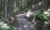 「中山道　一部通行止めについて【南木曽　観光情報】」