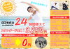 「【入会金・月会費1ヶ月分無料！】【松山市】7月のキャンペーン期間中にオトクに利用しよう！　ロコモK.Oは理学療法士などのトレーナーがしっかり指導するから初心者でも安心♪　年中無休24時間・全店舗でマシン使い放題♪」