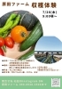 収穫体験　新鮮京野菜「夏休み、お子さん連れて、、、」