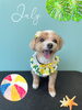 「お友達♡ Dog salon mofu mofu 余市町」