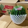「秋田県産　小玉すいか「あきた夏丸　チッチェ」です」