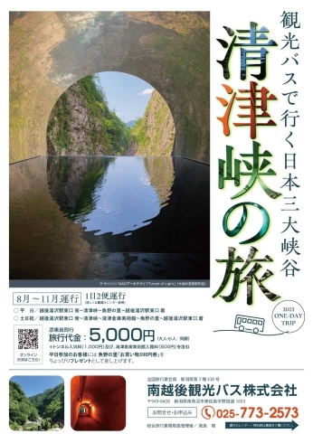 ツアー紹介パンフレット「１日２便運行　観光バスで行く日本三大峡谷  清津峡の旅「Tunnel of Light」」