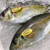 「魚魚市場鮮魚コーナーおすすめ商品は「カワハギ・ノドグロ」です♪」