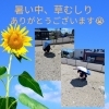 暑い中、草むしり「草むしり」