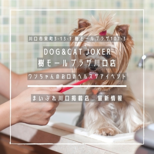 「DOG&CAT JOKER 樹モールプラザ川口店【まいぷれ川口掲載店の最新情報】」