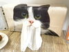 「LINE友だち２割引クーポン今月まで！(=^ェ^=) 氣功・整体・リーディング・ヒーリング」