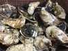 「魚魚市場鮮魚コーナーおすすめは「岩かき」です♪」