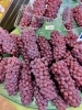 「美味しいデラウェアが数量限定で入荷です✨」