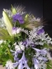 霧吹き草も涼しげに「お悔やみの花」