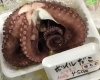 「魚魚市場鮮魚コーナーおすすめは「ボイル地タコ」です♪」