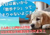 「【真夏でも元気な身体を手に入れよう！】【松山市：24時間ジム無料体験◎】7月中のご入会で入会金・1ヶ月会費が無料！　月々3850円でマシン使い放題♪　初心者にこそオススメするスポーツジム、ロコモK.O 無料体験受付中！」