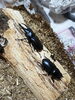 「夏満喫！クワガタ、蛍、夏野菜！＼(^o^)／」