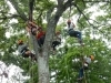ツリークライミング体験「ツリークライミング　in  山田池公園」