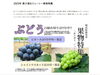 ふるさとチョイスでの特集はこんな感じで展開中！「【ふるさと納税】ぶどうの予約受付中です！」