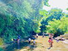 せせらぎな川「夏休みのお出かけならば、グランピングの和心村で涼しく過ごしませんか♪」