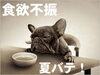 夏バテ「夏バテは大丈夫ですか？(●'◡'●)」