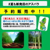 「夏も新発田のアスパラ!!」