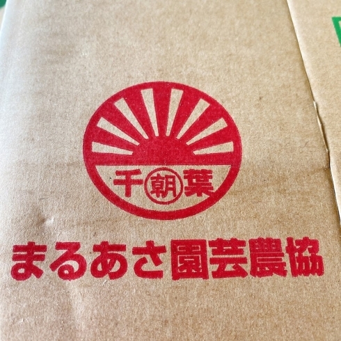 「今年も「丸朝(まるあさ)」の入荷が始まったよー！！ 千葉県産「丸朝すいか」。」