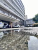 玄関「打ち水効果はあるのかな😆」