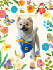「Dog salon mofu mofu　余市町」