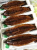 「魚魚市場鮮魚コーナーおすすめは「うなぎ」です‼️」