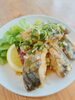 鯖の油淋ソース　「7/31 Today’s Special 鯖の油淋ソース　日替わり　おすすめ　ランチ　夜ご飯　中華　木更津　金龍」
