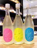 「「吉田蔵u」とUNITED ARROWSのコラボ酒【矢島酒店｜馬込沢・塚田・新船橋・船橋駅・鎌ヶ谷・東武線エリアの酒屋】」