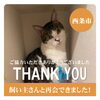 「【無事再会！】西条市神拝甲原の前東で迷子になった猫の「ネコちゃん」。飼い主さんと再会できました！」