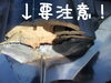 「普段見えない所はなおさら要注意」