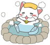 「勘違いされやすい夏風邪予防！」