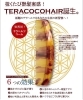 「テラヘルツ波って知ってる？」