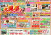 8/26～8/27に夏祭りイベント開催いたします！「【夏祭りイベント】船橋店で開催いたします！～外壁塗装専門店のユウマペイント船橋店～」