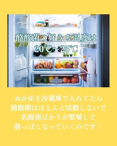 冷蔵庫管理のぬか床は乳酸菌だけ「腸活するなら　絶対常温ぬか漬け【野菜　食べ方　熟成　発酵　健康　美容　免疫力アップ】　」