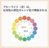 「目にオススメの食べ物」