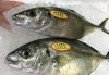 「魚魚市場鮮魚コーナーおすすめは「ボイル伊勢エビ」です♪」