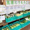 「8月土日・祝日は、『高原とうもろこし』屋外特設会場にて販売します！」