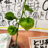 「天気の悪い週末は是非のんびりを」