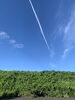 夏空に　くっきりと飛行機雲「小学生対象　塾でもあり学童でもある　ミネルヴァこども学院　新学期生募集中★」