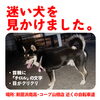 「迷い犬のように見えるワンちゃんがいた、という目撃情報をいただきました。（新居浜市西連寺町付近）」