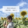 浴衣ポートレート撮影会、参加者募集♪♬