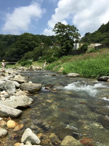 水も空気も空も緑もとっても綺麗です。