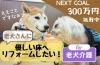 「「無料デイサービスの老犬さん達のために、優しい床に張り替えたい！」を地域で一緒に叶えませんか？クラウドファディングで支援の呼びかけです！」
