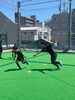 駆け引きを意識したトレーニングです!「西葛西で学生が教えるCULB-TSRサッカースクール!前期最後のトレーニングを実施しました! 後期も無料体験会随時開催中!」