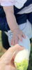 新鮮京野菜　白ナス「ご予約いただいております！！！　～第４回収穫体験～」
