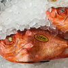 「魚魚市場鮮魚コーナーおすすめは「タチウオ・イシダイ」です♪」