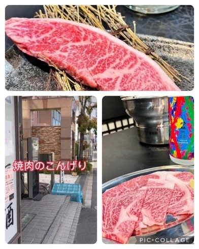 「新鮮なお肉とお酒│「焼肉のこんげり」は、京阪楠葉駅から徒歩８分、くずはモール近く│黒毛和牛取扱焼肉店です。「ひらぽ使えます。」」