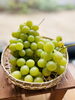 シャインマスカット「シャインマスカットの美味しい食べ方【野菜　食べ方　熟成　発酵　健康　美容　免疫力アップ】　」