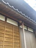 虫の写真が苦手な方は画像のスライドをご遠慮下さい「スズメバチの駆除（事例：八女市蒲原）」