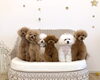 ティアラ♡リリア♡クレア♡くま♡チップ♡サラン「ましゅまろ幼稚園🐶」